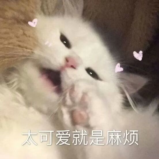随缘 1