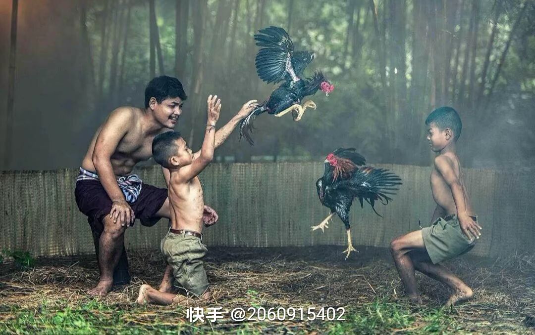 动态图片 1