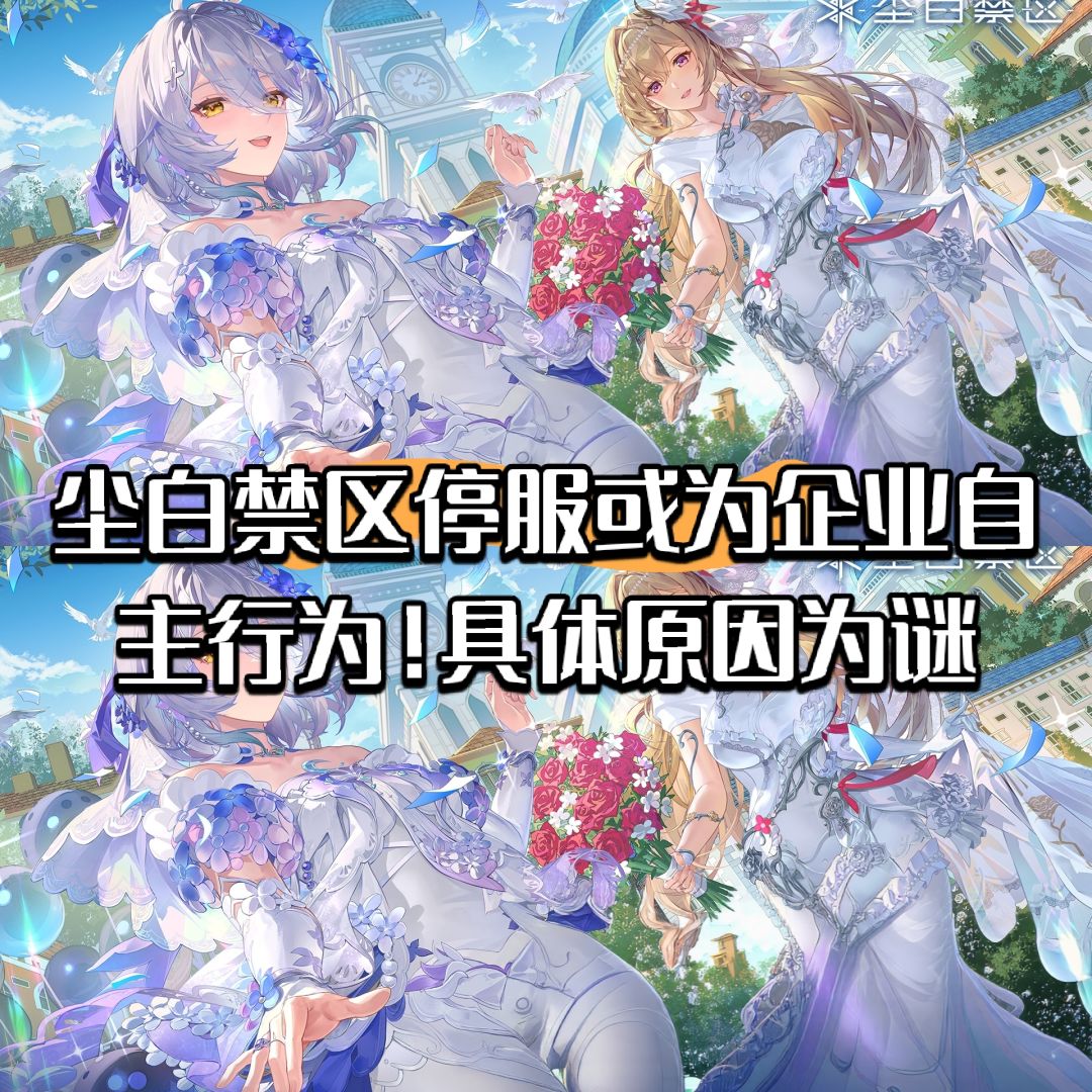 尘白禁区停服或为自主行为!具体原因为谜 1