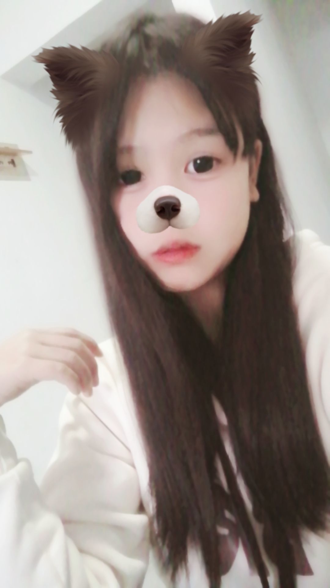 动态图片 6