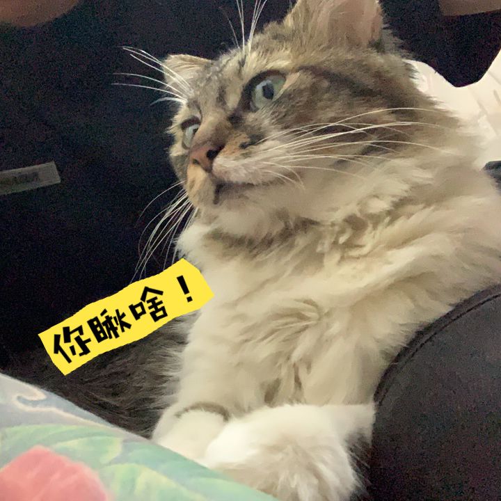 重在参与!截图