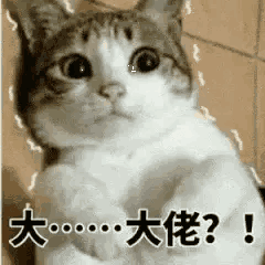 现版本冰2还值得玩? 1