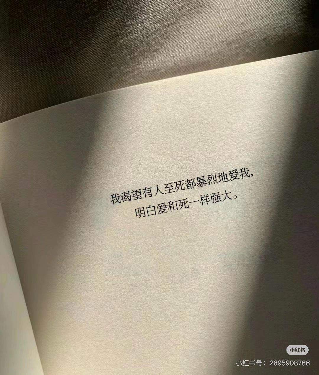 动态图片 14