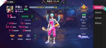 单排狗上分真累（pg蜜蜜菜鸟鉴定器）