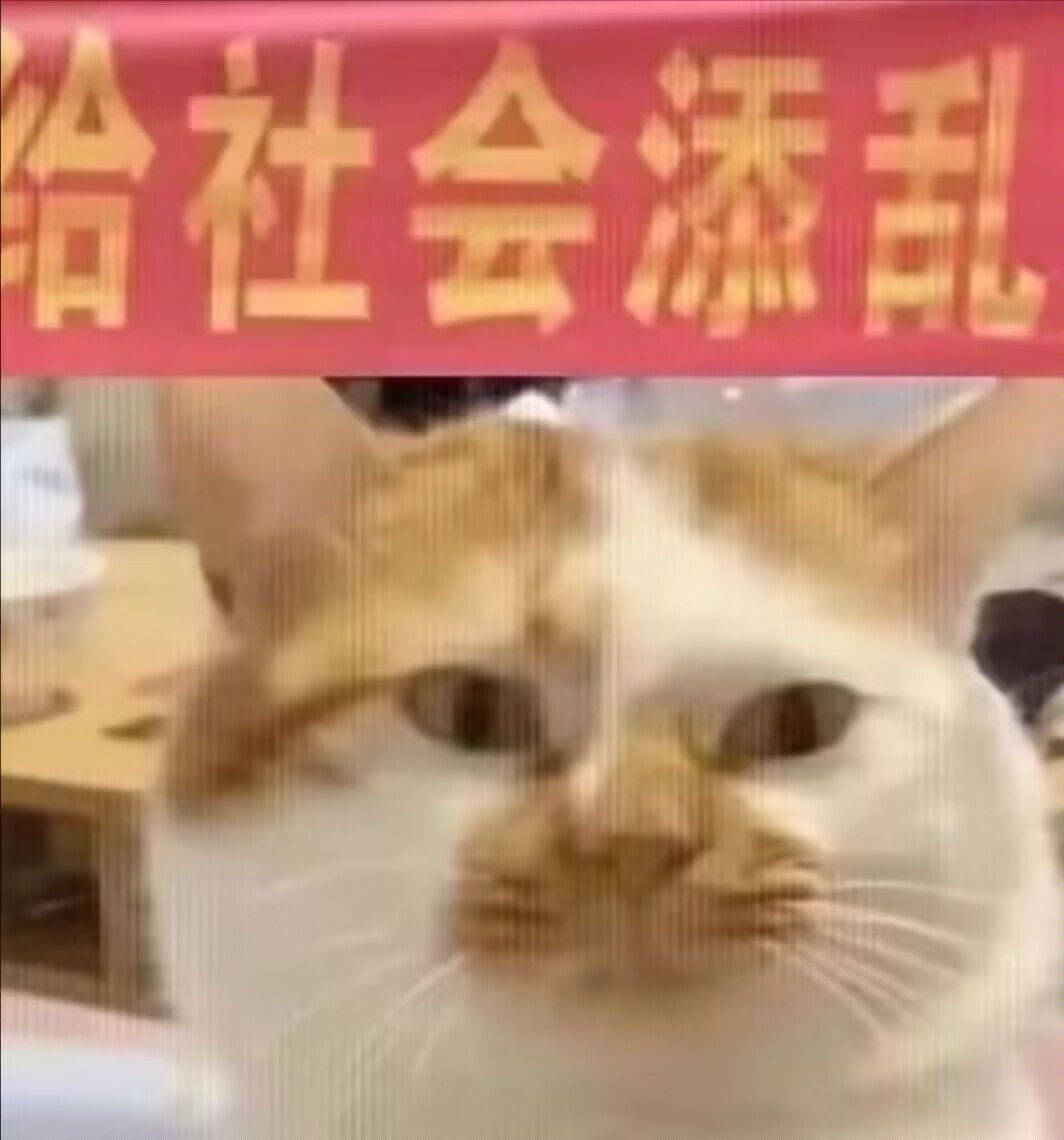 都2023了 莉莉丝你在做什么 2