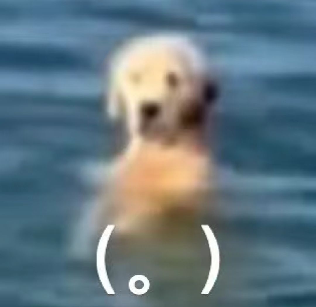 偏个楼 1