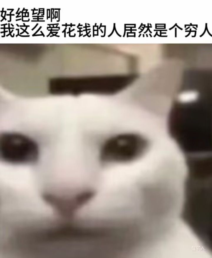 1.3满探无奈停氪备战下款游戏截图