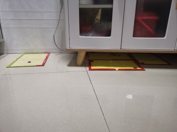 看着它往板上跳