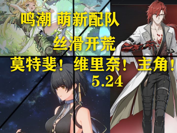 没抽到主C?鸣潮萌新开荒超舒适配队思路!莫特斐!维里奈!截图