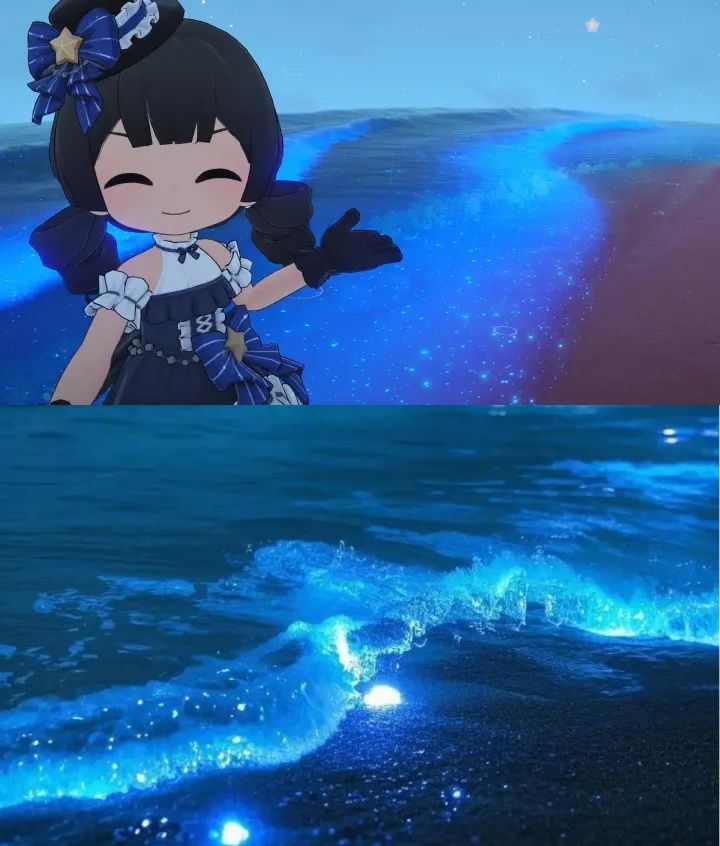 蓝眼泪也太好看了吧 2