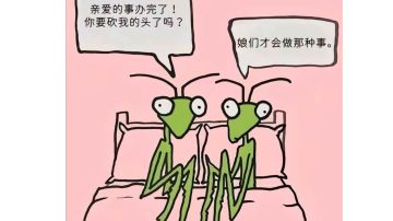 昭陵六骏，把剩下四匹马也加进去