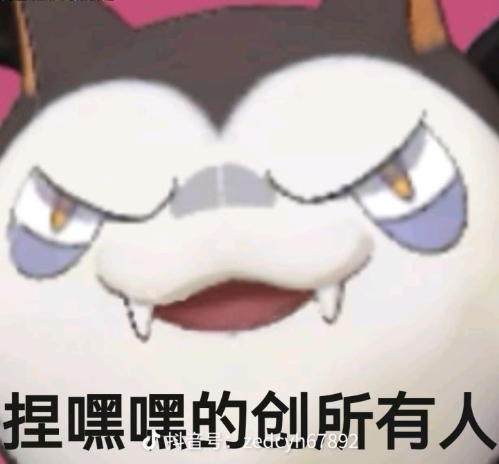 先开放小雪截图