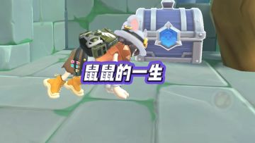 鼠鼠的一生