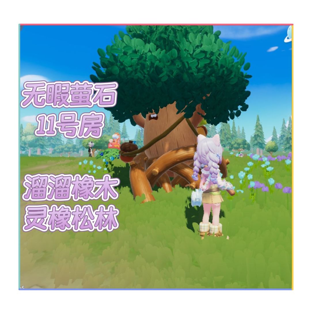 小镇日报(2.3日) 2