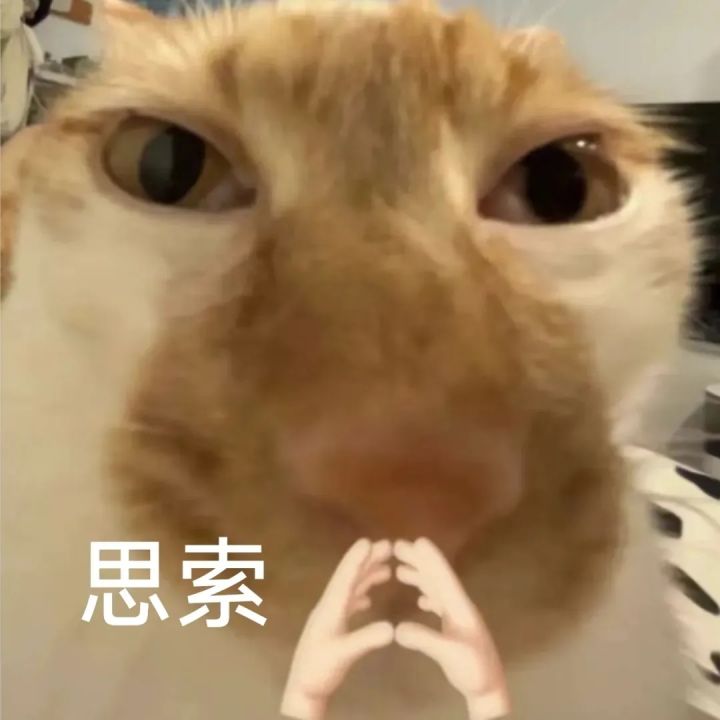 emm..刚回游谁带我跑图一下呗截图