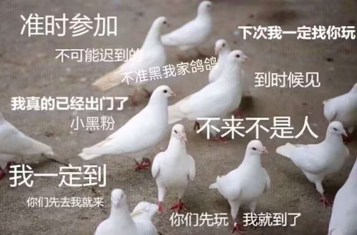 农转兵截图