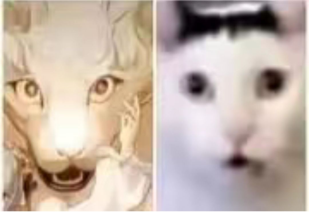 这算不算顶配熊猫弩 2