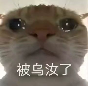 摸金小队截图