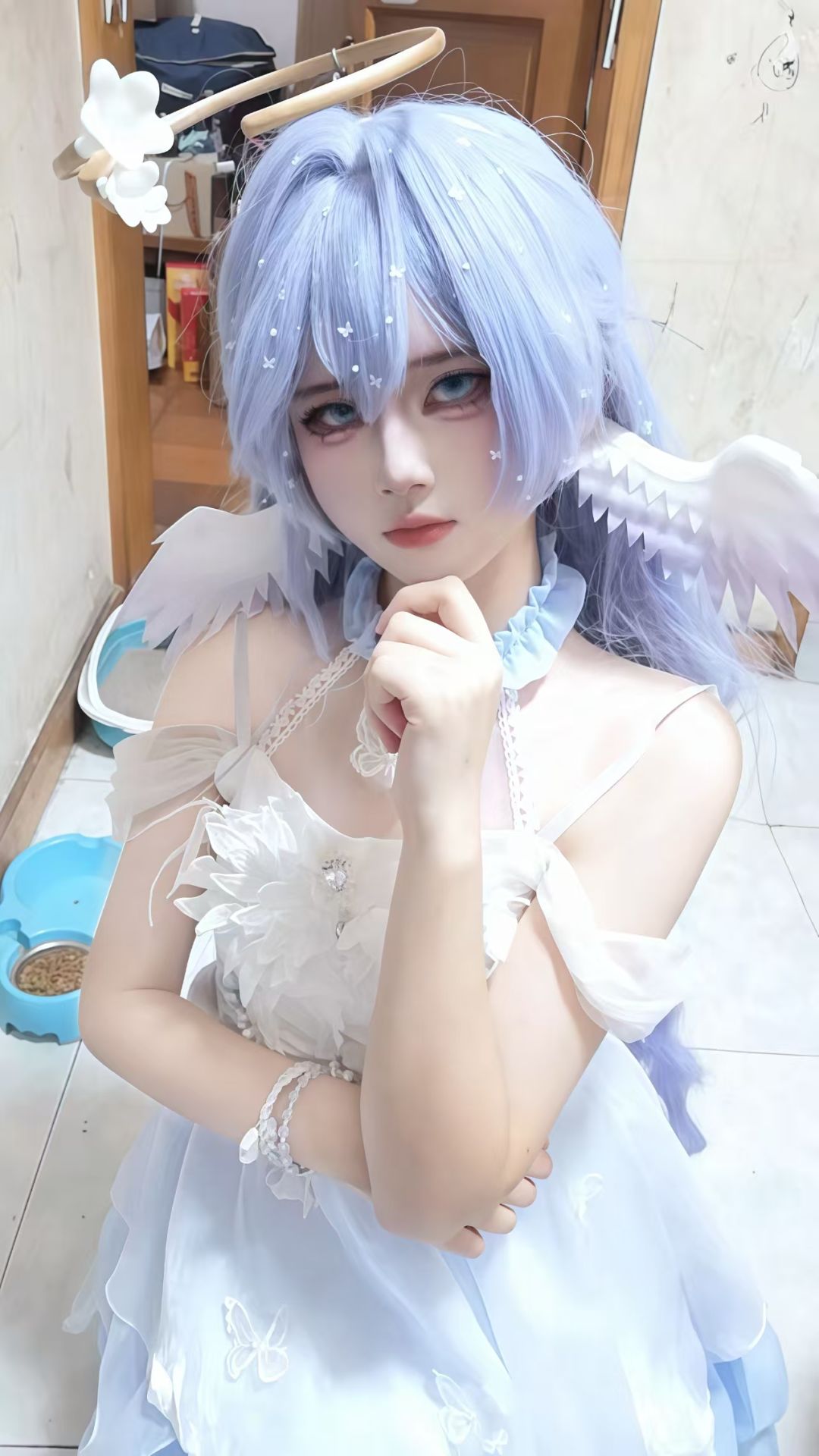 知更鸟来啦 3