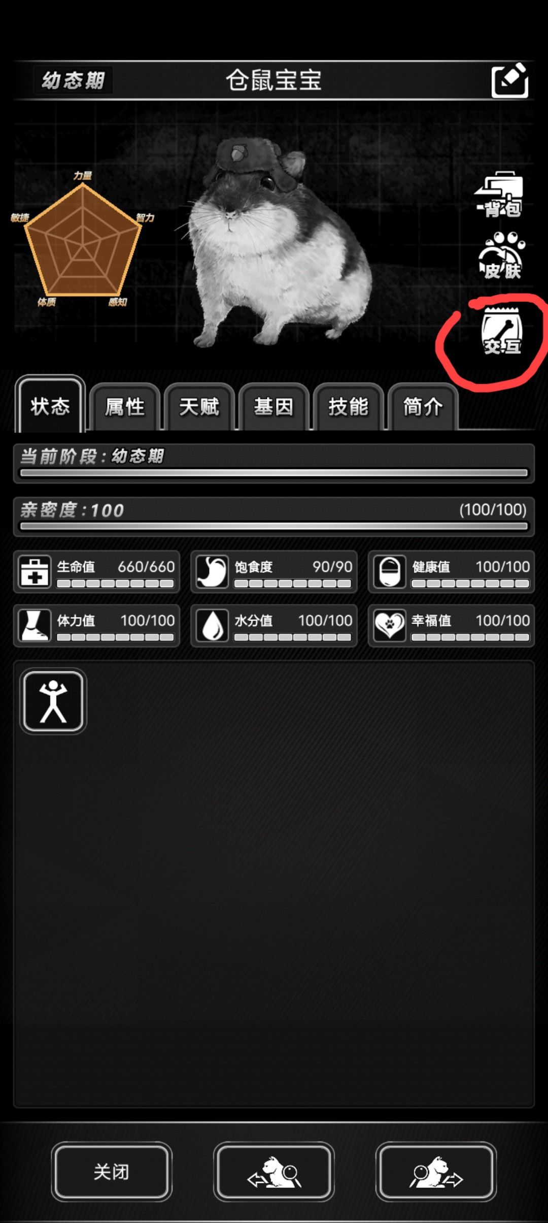宠物吃饭 1