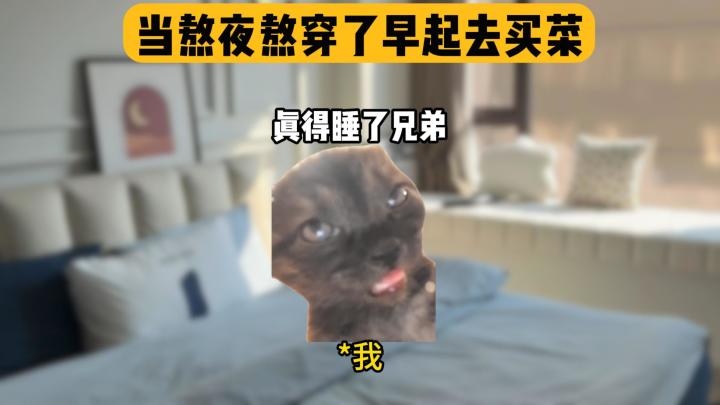 当我和兄弟熬完夜早起去买菜截图
