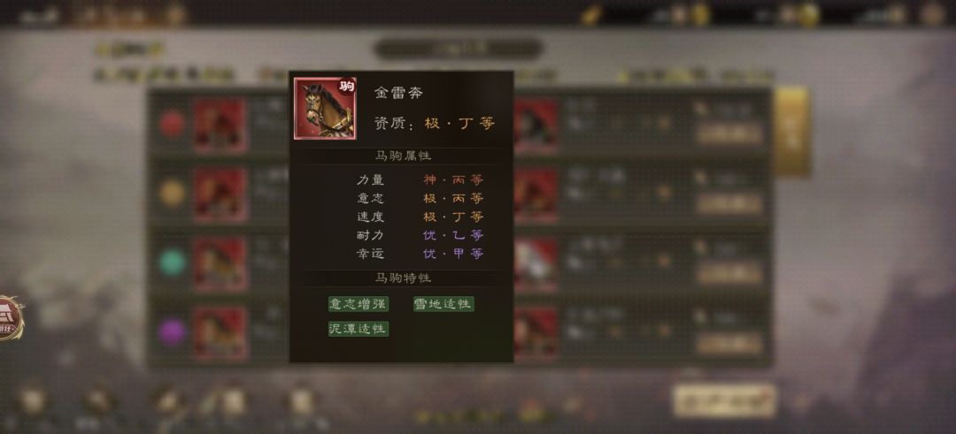 12月28日赛马前三预测 3