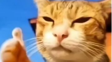 小说家模拟2-写作策略搭配与效果汇总