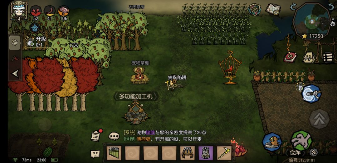 #宠物 1