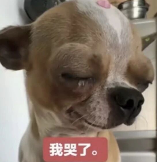 求助 1