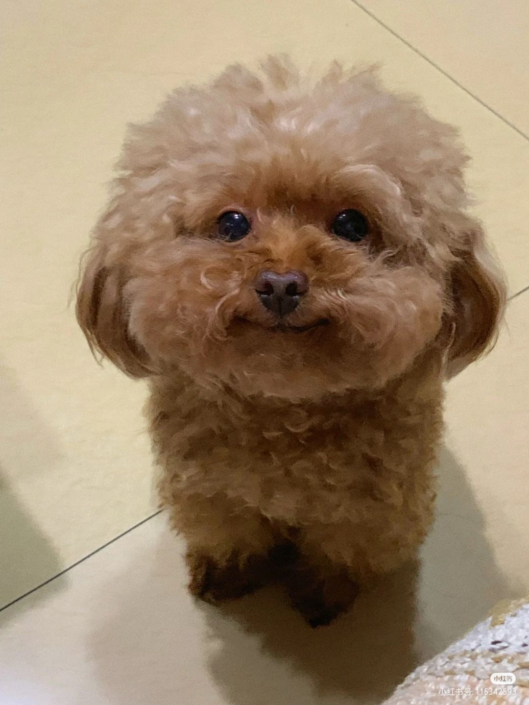 动态图片 9