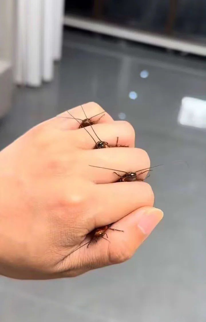 时空龙能不能给点补强,给个全队转龙也行啊 1