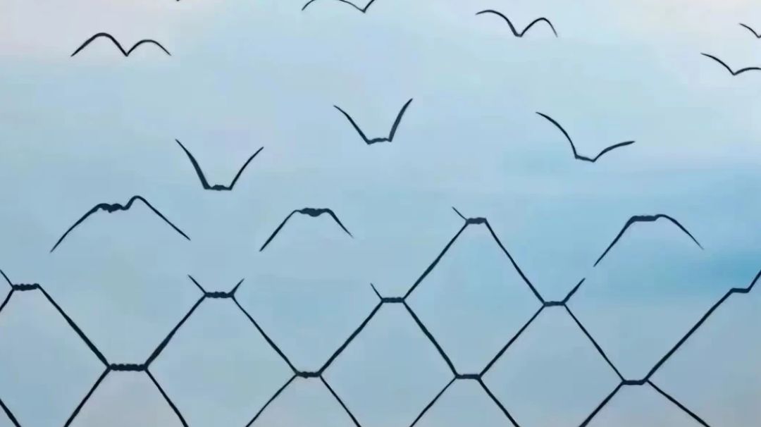 法师（最新成绩已放在最后）截图