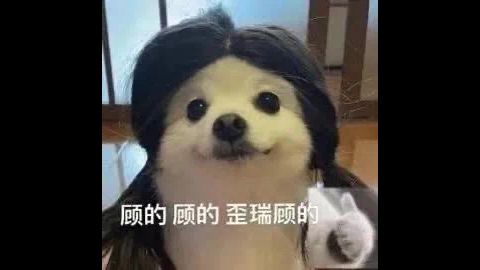 230抽满觉，歪一只瑶瑶，总算让我薅到了截图