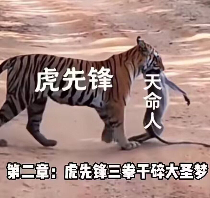 这是黑虎吧 2