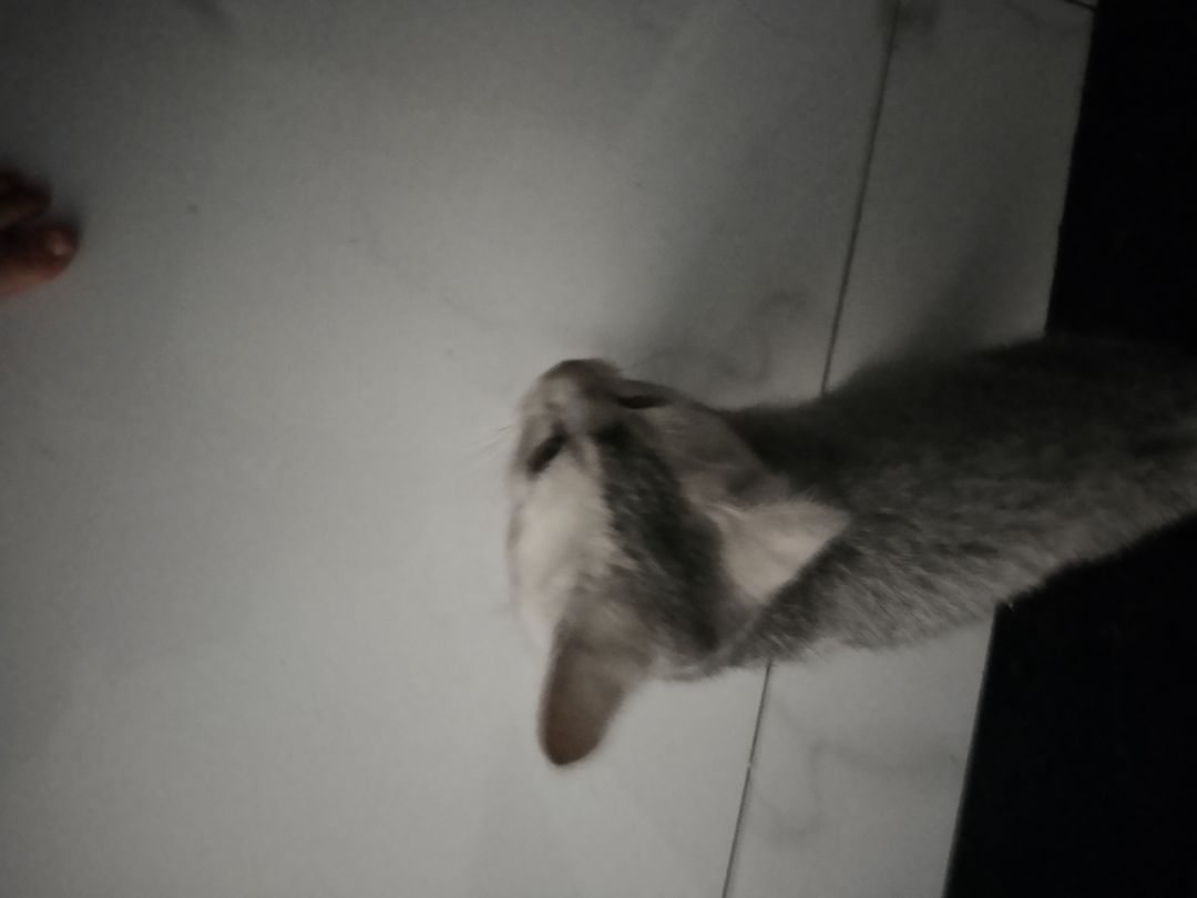 动态图片 6