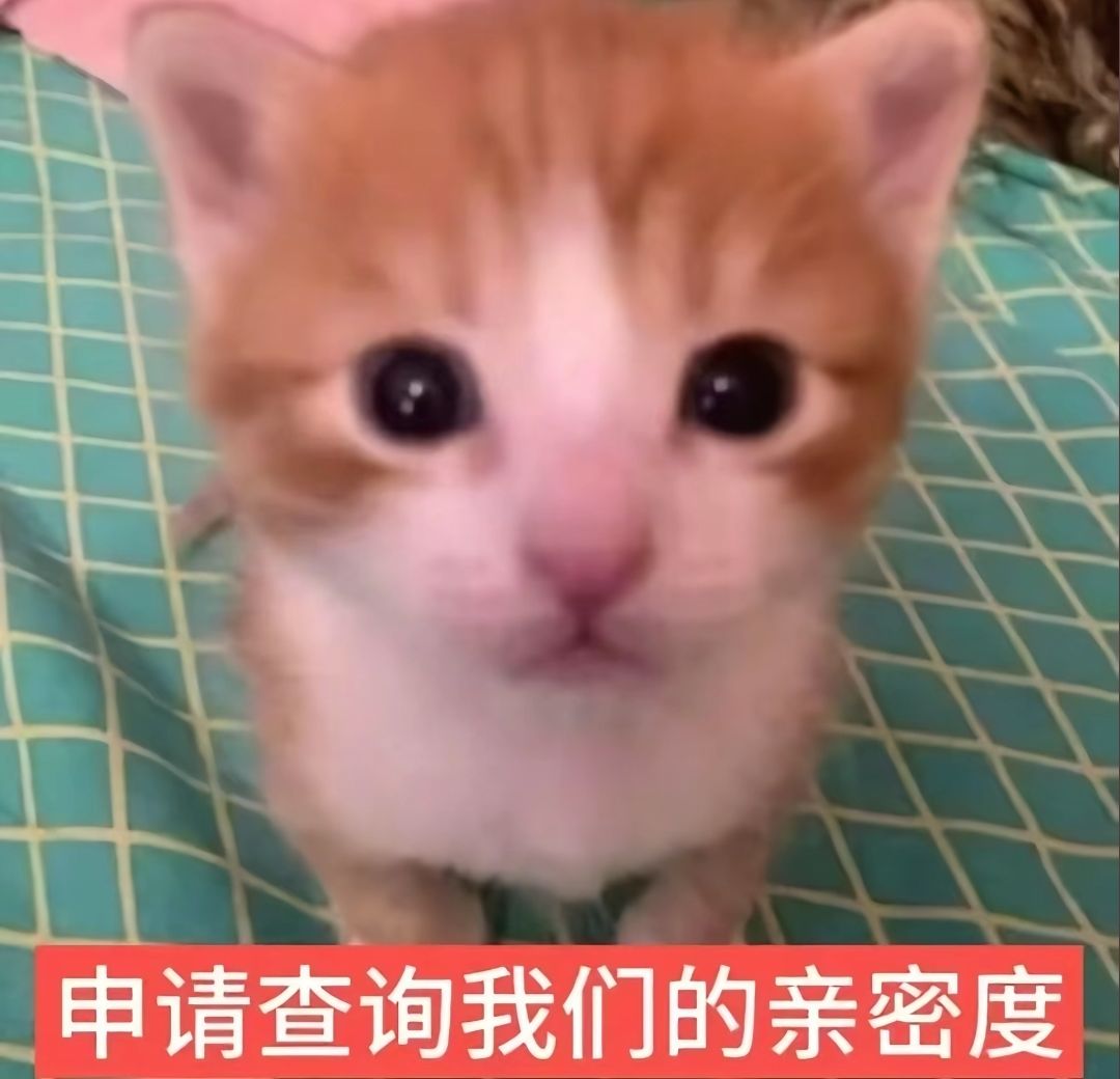 有大佬带带嘛 1