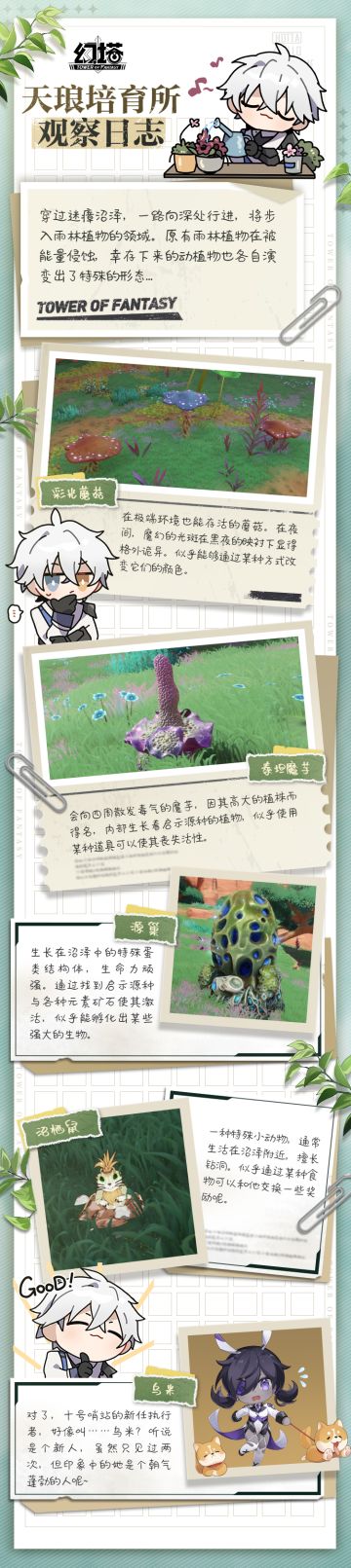 《天琅培育所观察日记》