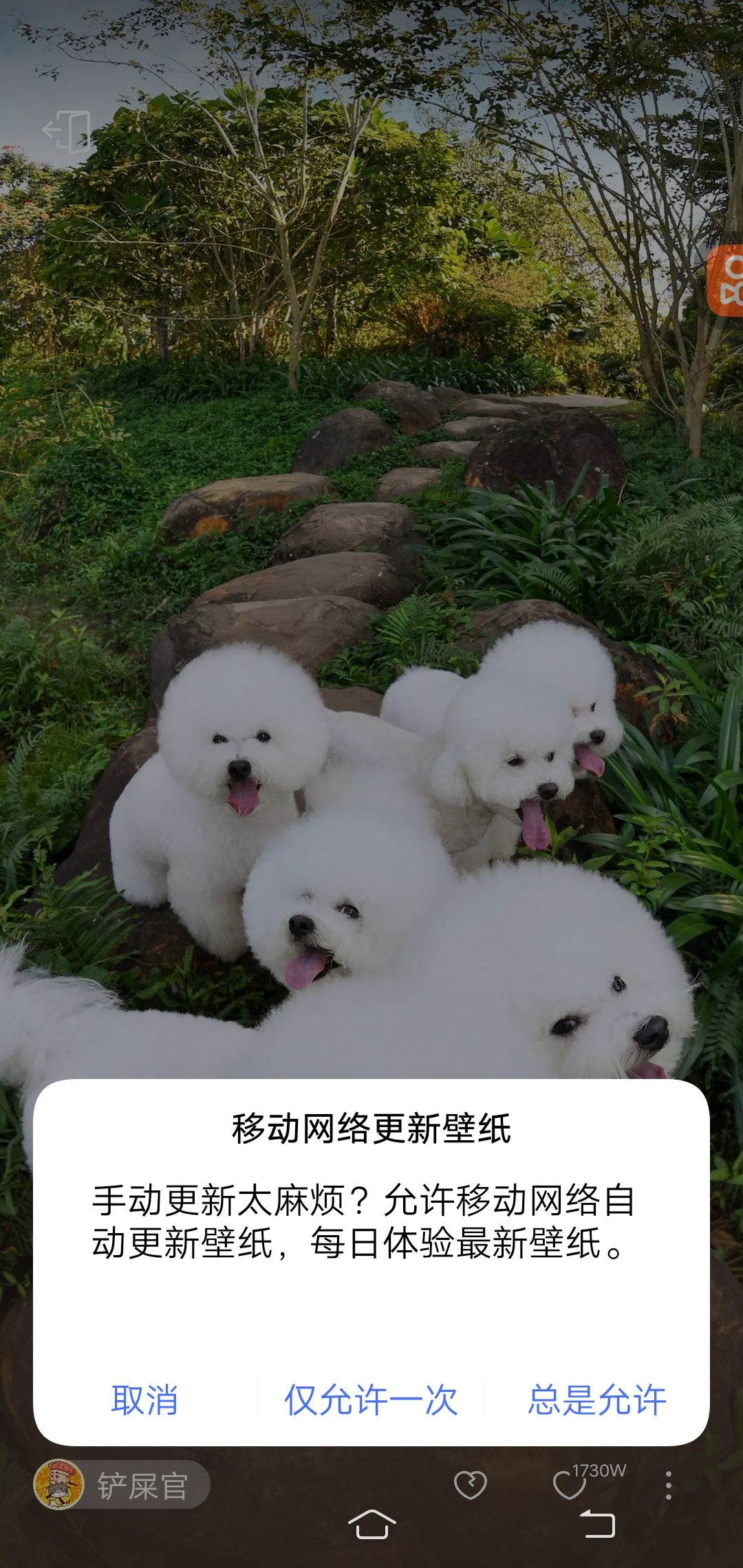 动态图片 1
