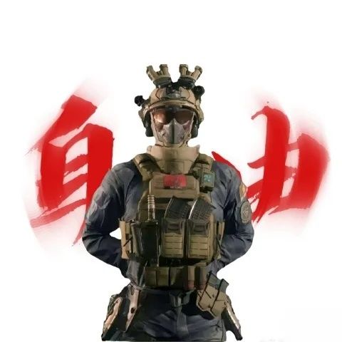 三角洲行动威龙权威。要图自己拿 1