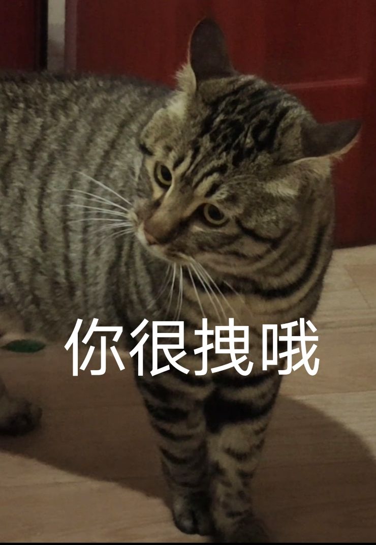 局域网联机 3