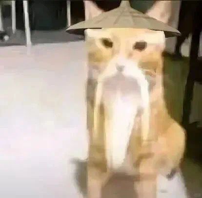我有一个大胆的想法 3