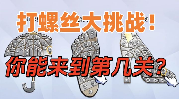 超烧脑益智小游戏,打螺丝达人截图