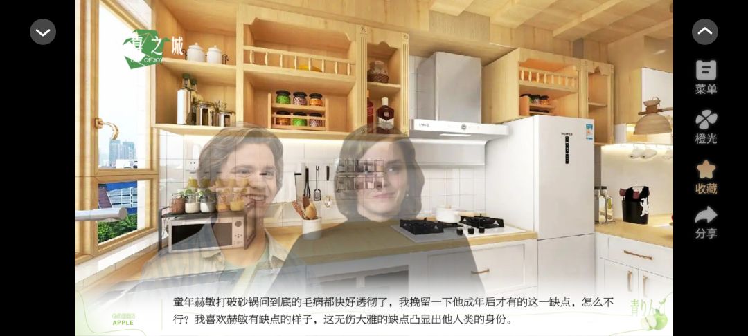 欢喜之城7截图