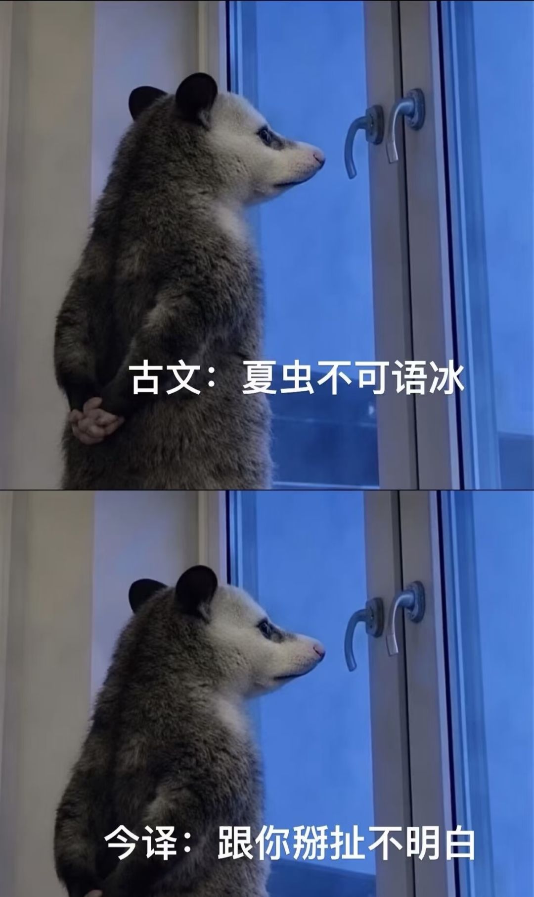 【开心一笑】古文今译配负手鼠的搞笑结合。 10