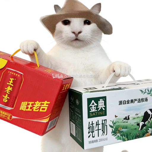 问问大家都怎么规划的 2