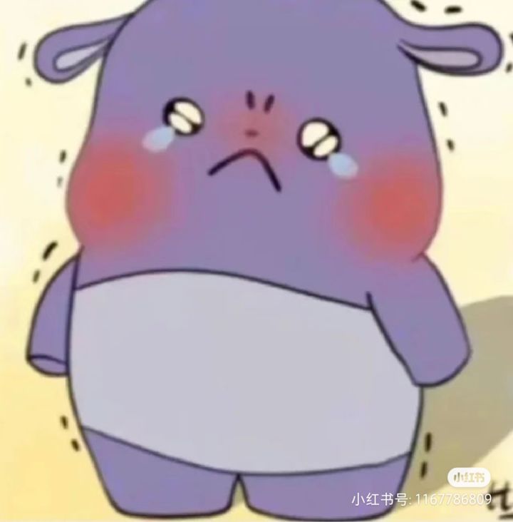 今天刚回归截图