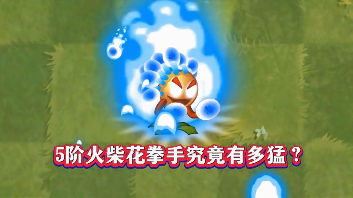 5阶火柴花拳手究竟有多猛？截图