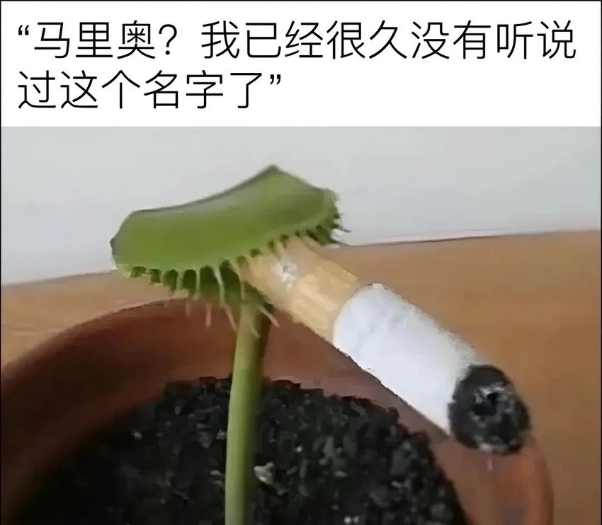 今日份梗图分享 2