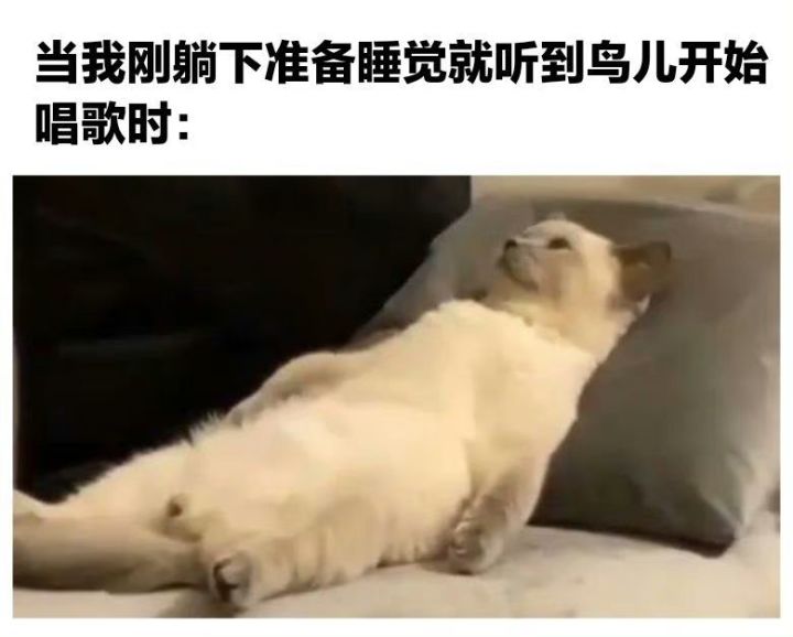 暑假分享第四弹截图