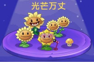 【同人攻略】光芒万丈家族的实际应用